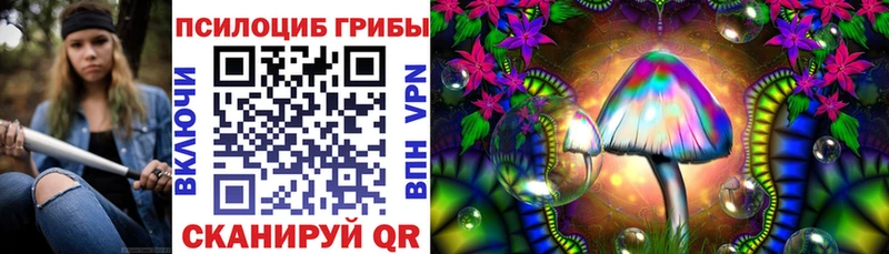 Галлюциногенные грибы Psilocybe  Купить где  Малмыж 